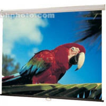Projection Screen (70" X 70") 